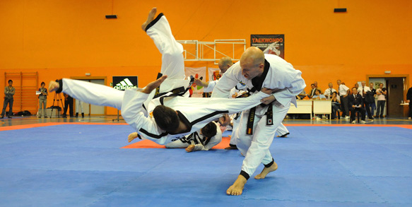 HVR Sports   hapkido 123 Rules for Hapkido